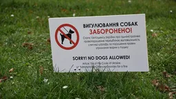 Лучан інформуватимуть про місця, де не можна вигулювати собак 
