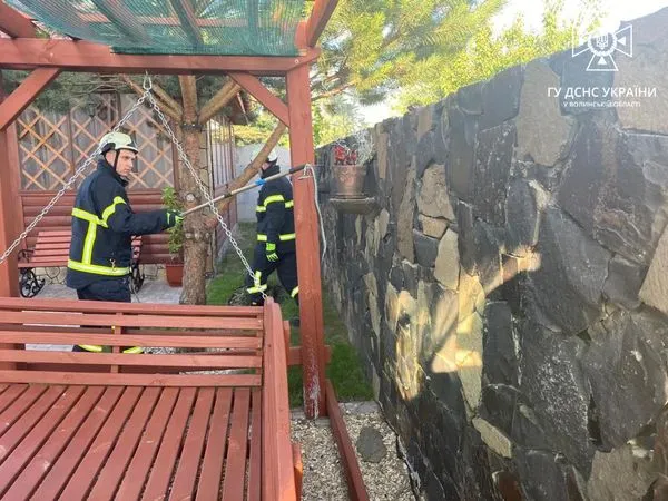 У Струмівці зловили змію на подвір'ї (фото)