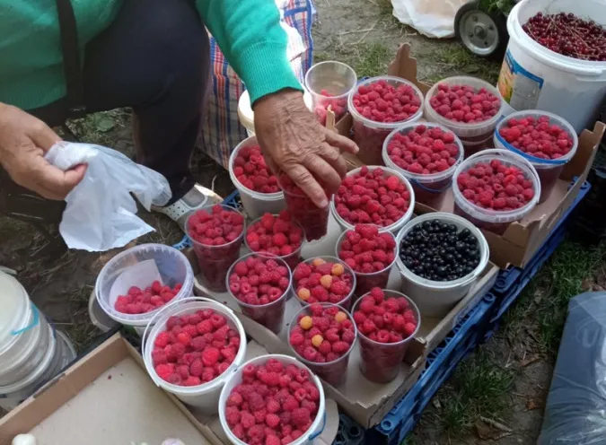 На ринках Луцька – малиновий бум: які ціни (фото)