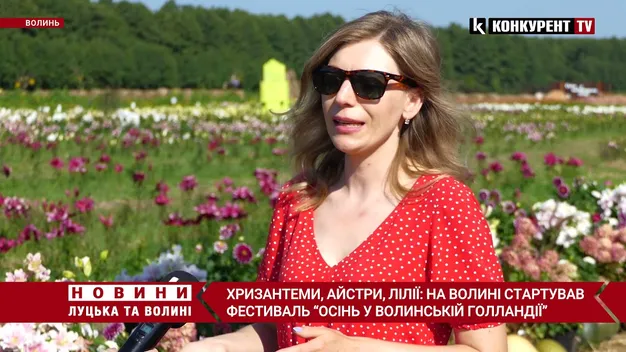 Лілії-троянди, контактний зоопарк: чим дивує «Осінь у Волинській Голландії» (відео)