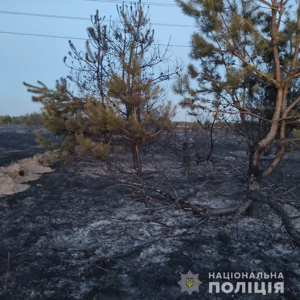 Під Луцьком зловили палія, який спричинив пожежу на площі 10 гектарів (фото)