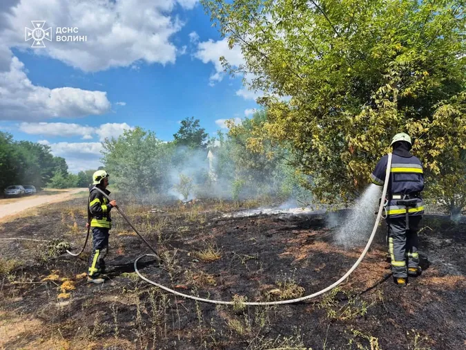 Вогонь охопив майже гектар: на Волині рятувальники ліквідували чотири пожежі сухостою (фото)