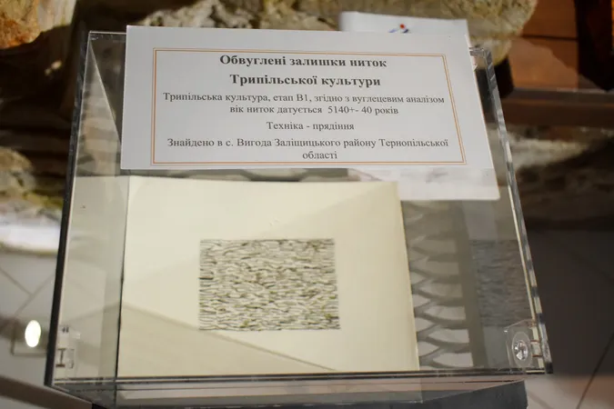 У Луцьку відкрили виставку артефактів Трипільської цивілізації (фото)