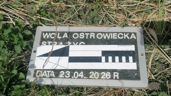 На Волині під час розкопок знайшли поховання часів Другої світової війни (фото, відео)