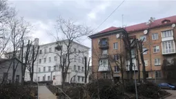 У Луцьку знову «по-варварськи» кронують дерева (фотофакт)