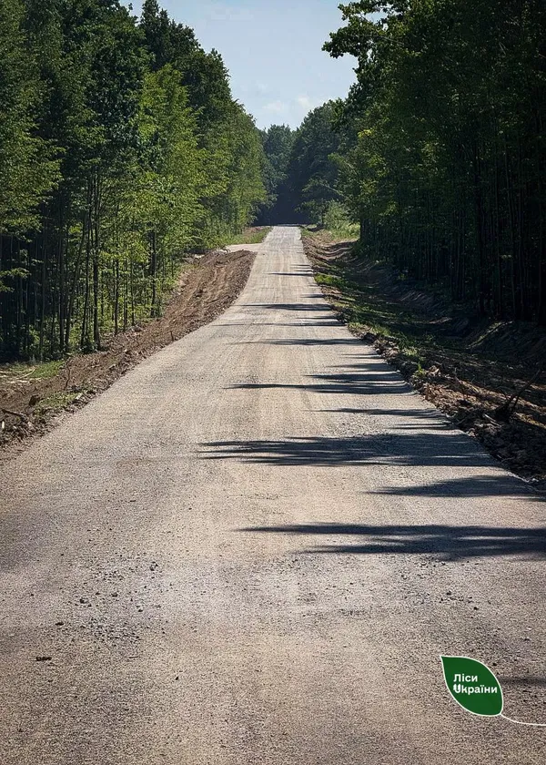 Волинь серед лідерів з будівництва лісових доріг (фото)
