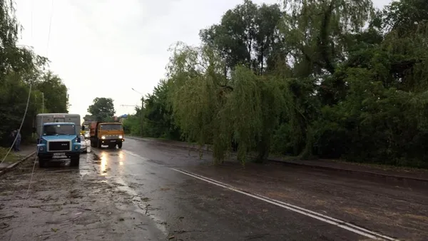 У Луцьку після негоди відновлюють тролейбусні лінії (фото)
