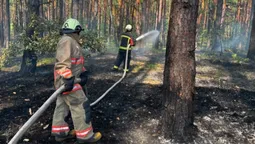 Горіли суха трава, торфовища та лісова підстилка: на Волині за добу ліквідували 9 займань (фото)