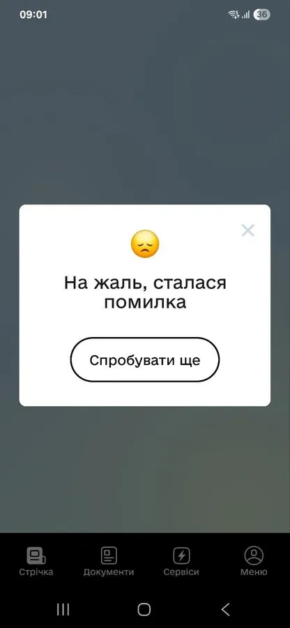 В «Дії» стався збій: що відомо