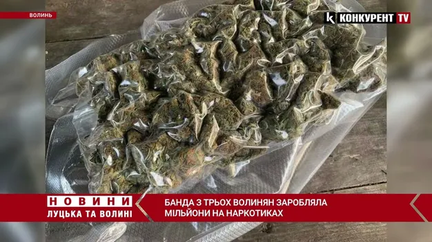Банда з трьох волинян заробляла мільйони на наркотиках (фото, відео)