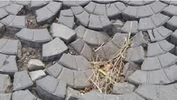 У центрі Луцька провалилася бруківка – викликали муніципалів (фото)
