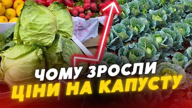 У Луцьку на ринках дорожчає капуста: ціна ростиме і надалі (відео)