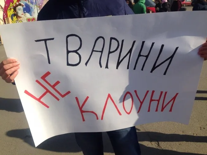 У Луцьку вперше виступить цирк без залучення тварин