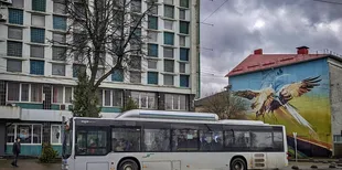 Заробляють більше за перевізників: скільки City Card отримує від луцького транспорту
