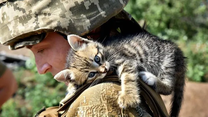 Головне у Луцьку: ТОП новин вівторка, 5 липня