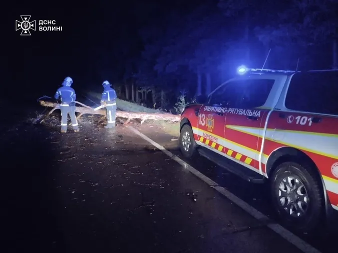На Волині під ранок вітер звалив на дорогу дерево (фото)