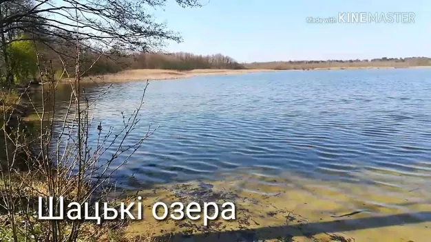 Назвали озеро на Волині, де клює «хижак» – щука, окунь та сом (відео)