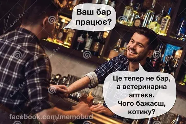 На побачення – в аптеку, магазин, маршрутку: жарти про карантин вихідного дня (фото)