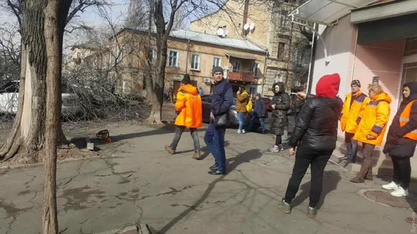 В Одесі сильний вітер повалив дерево, яке вбило жінку (фото, відео)