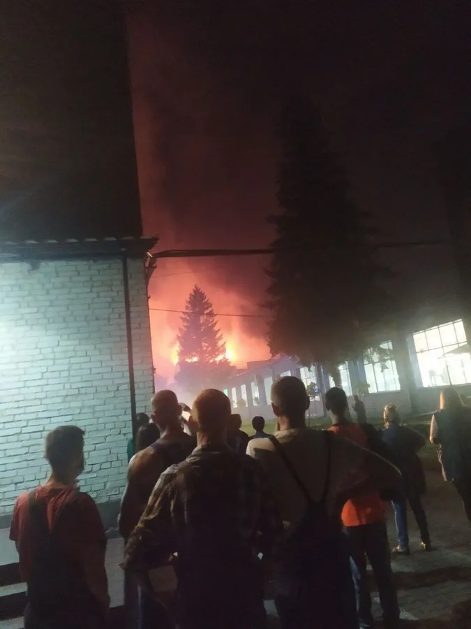 З'явилося відео пожежі палетного заводу неподалік Луцька