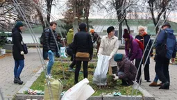 На проспекті Волі у Луцьку садили алею троянд (фото)