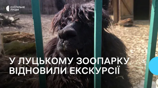 У Луцькому зоопарку знову проводять екскурсії (фото, відео)