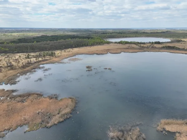 На Волині дослідили урочище у Шацькому національному парку (фото)