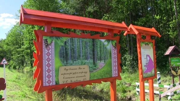 На Волині відкрили нові лісові дороги (фото)