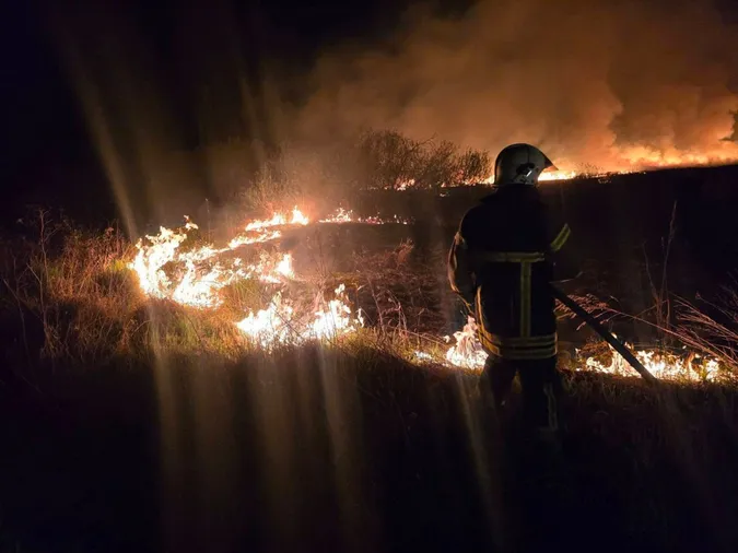Масштабна пожежа: біля Жидичинського монастиря горів сухостій (фото)