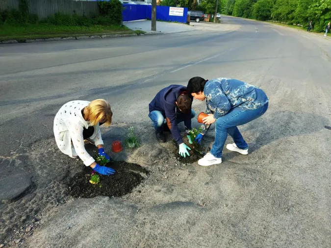 У Луцьку на двох вулицях у вибоїнах посадили квіти (фото, оновлено)