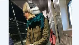 В перуці і з дитиною: киянин хотів утекти за кордон за паспортом дружини (фото)