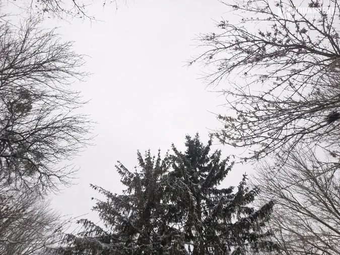 Сніжно і безлюдно: зима у Центральному парку Луцька (фото)