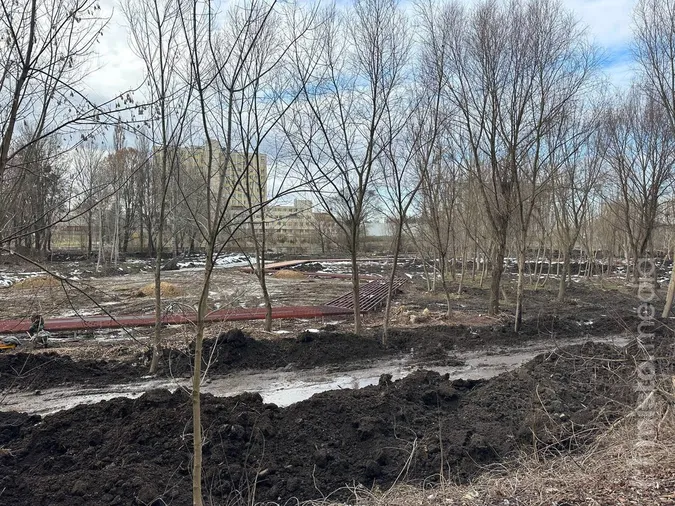Такий вигляд зараз має майбутній лугопарк