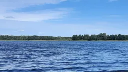 В лісі біля Старої Вижівки заховалось бездонне озеро: які легенди розповідають місцеві (фото)