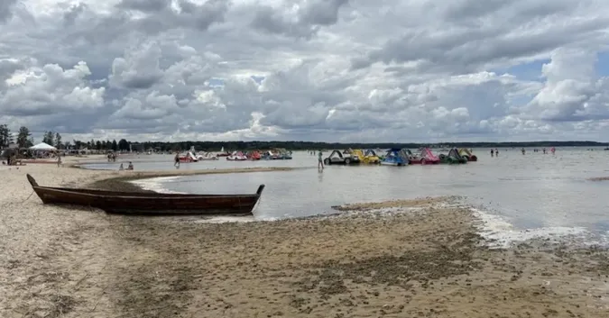 Світязь стрімко обмілів: чому зникає вода у Шацьких озерах та чи винна в цьому лохина (фото)