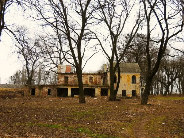 Показали, що лишилося від легендарного маєтку Вільгів у Голобах (фото)