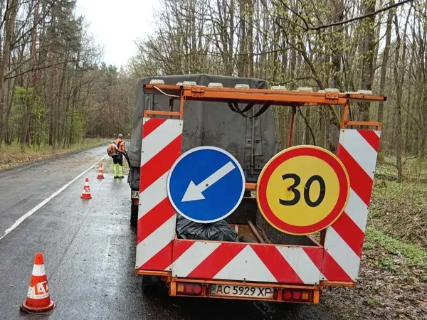 Негода повалила дерева на дороги Волині: водіїв просять бути уважними
