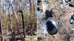 Лісничий знайшов уламки ворожого боєприпасу в лісі на Рівненщині (фото)