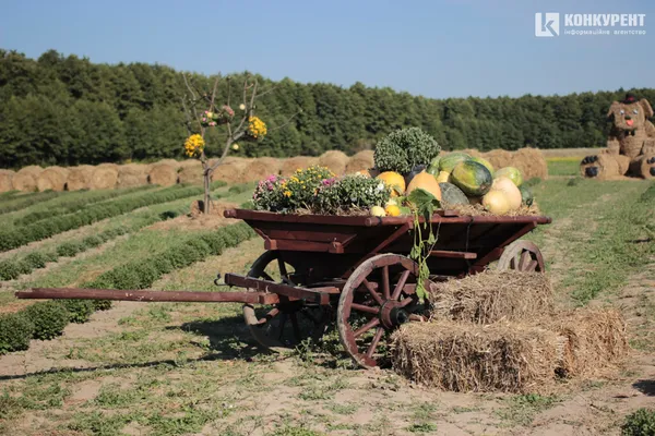 Осіння «Волинська Голландія»: що і за скільки можна купити (фото)