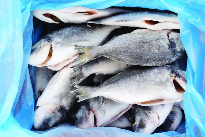 В Україні здорожчала морожена риба: скільки коштує кілограм