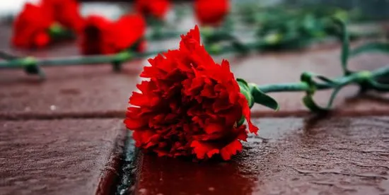 Які квіти не можна нести на похорон
