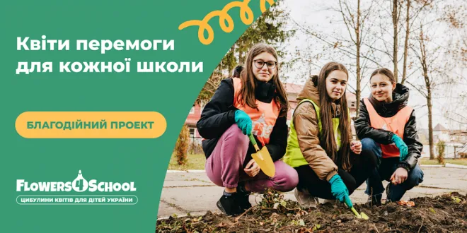 Квіти перемоги: на Волині планують висадити сім мільйонів тюльпанів