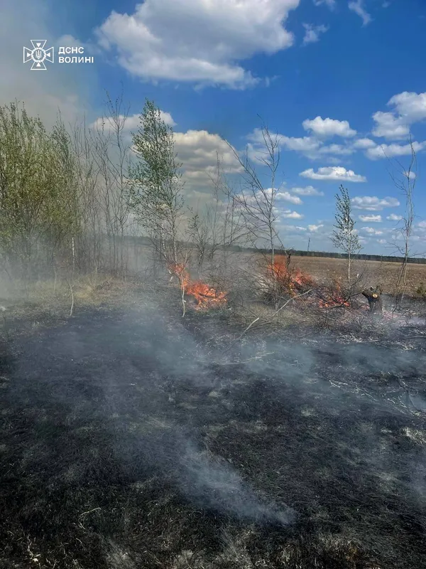 Вогняний понеділок на Волині: рятувальники ліквідували чотири пожежі в екосистемах (фото)