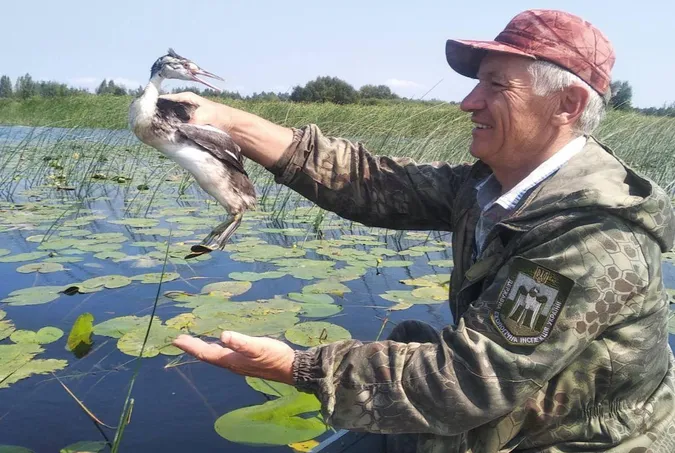 На Волині врятували незвичайного птаха, який заплутався в рибальській сітці (фото)