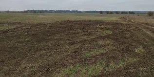 На Волині любителі дрифту нищать засіяні поля: фермери звернулися до поліції (фото)