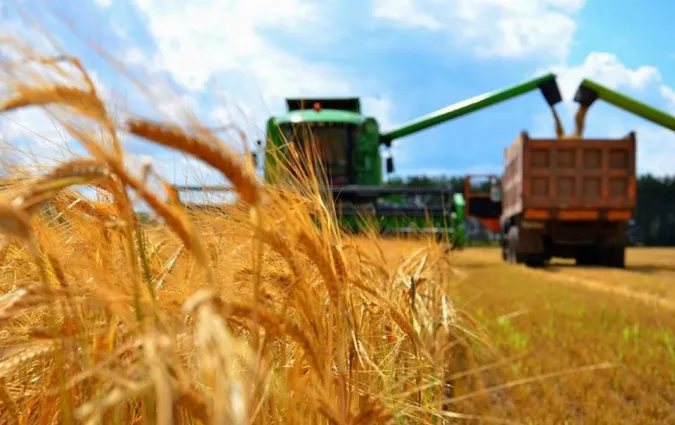 На Волині зросло виробництво сільськогосподарської продукції
