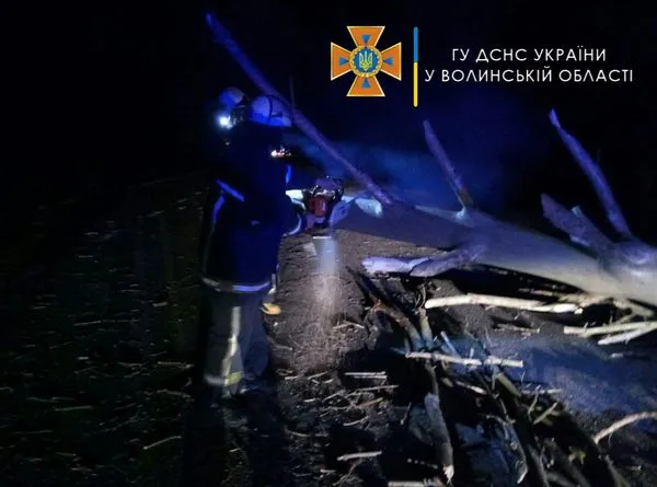 Повалені дерева на дорозі: на Волині вирувала негода (фото, відео)