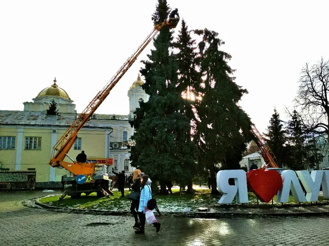 У Луцьку прикрашають головні ялинки міста (фото)