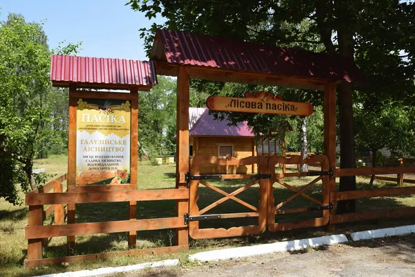 На Волині заготовляють цілющий лісовий мед (фото)
