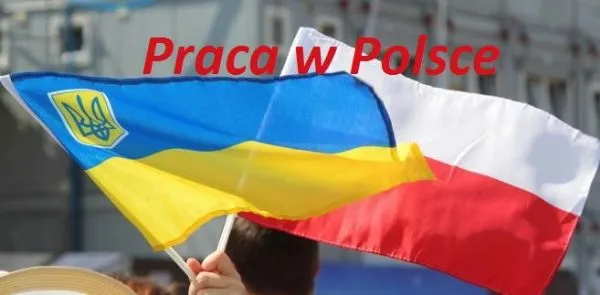 Польські роботодавці назвали умови для працевлаштування українців